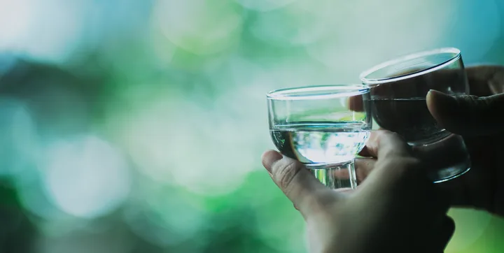 菊美人の酒で乾杯する