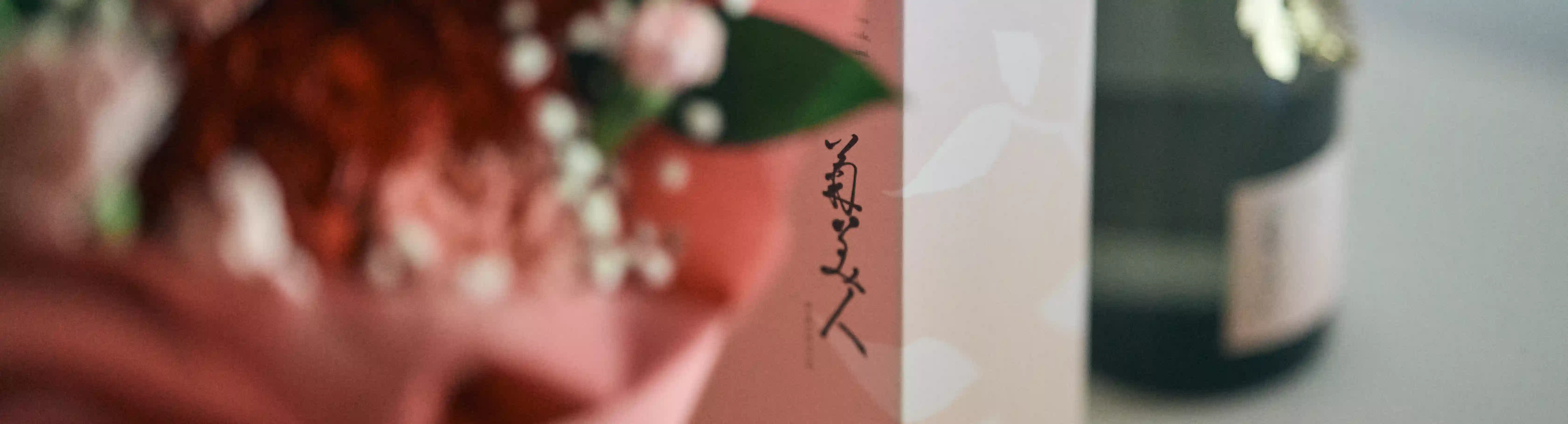 菊美人