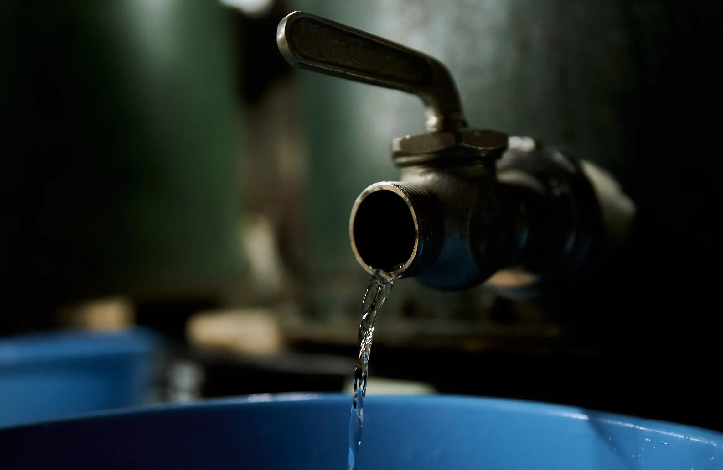 立春しぼりたて 生酒特集